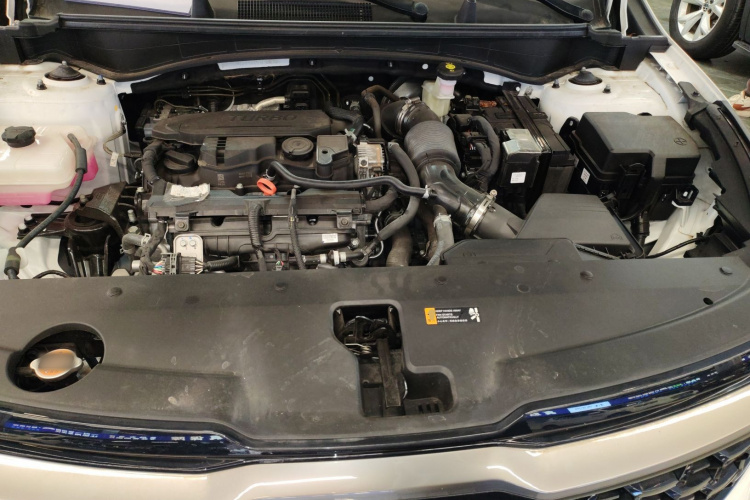 起亚 狮铂拓界 2024 汽车图片 #20