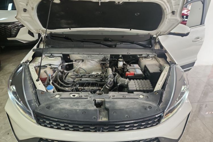 Showjet Pro 2021 car image #20