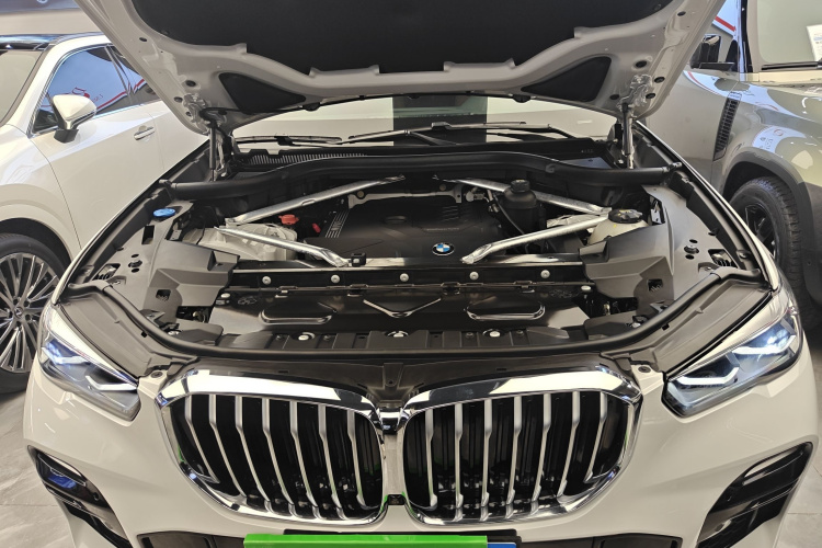 BMW X5 (Imported) 2021 car image #20