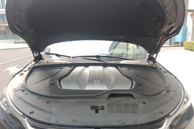 BYD Tang New Energy 2023 car image #20