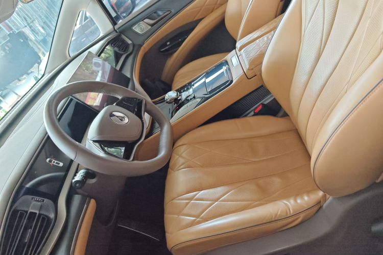 Denza D9 2023 imagem de carro #20