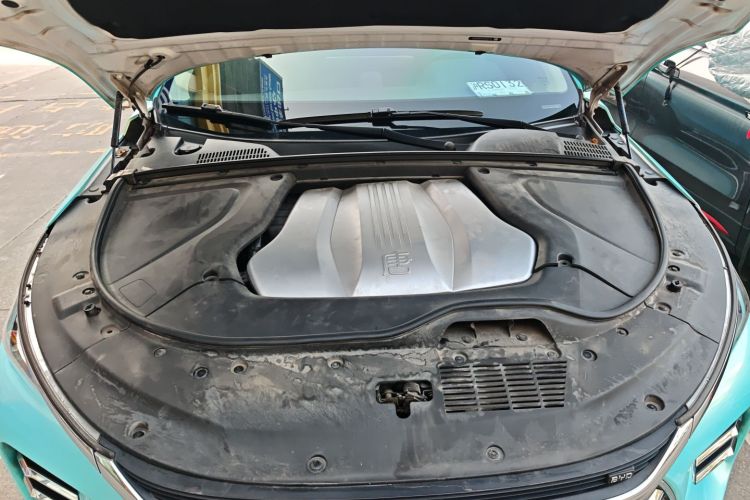 BYD Tang New Energy 2019 car image #20