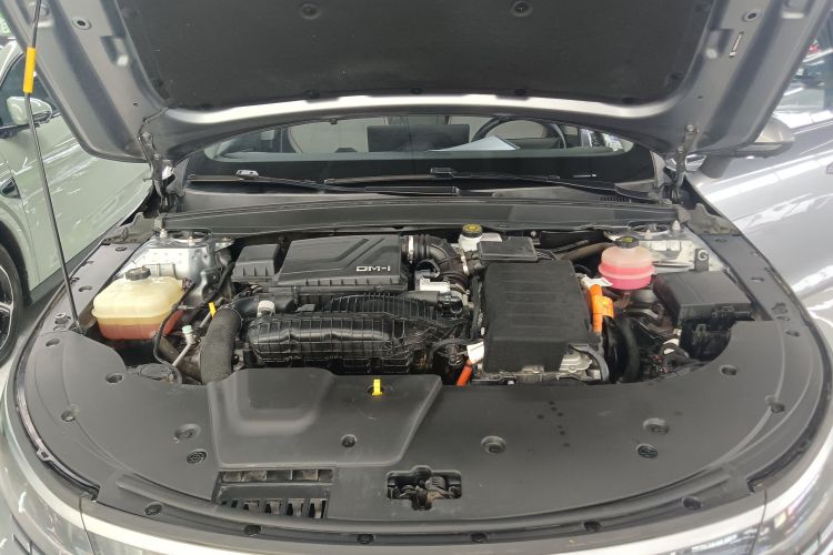 BYD Destroyer 05 2022 imagen de coche #20