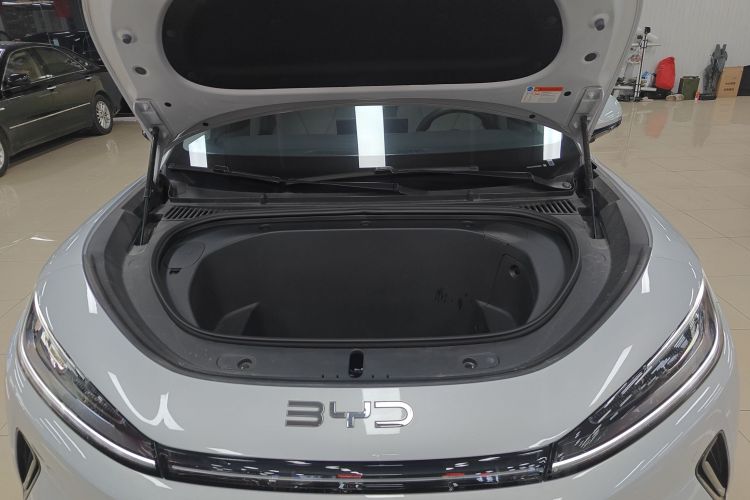 BYD Sea Lion 05 EV 2025 car image #20