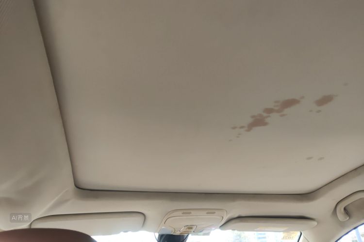 Soueast DX7 2015 صورة سيارة #20