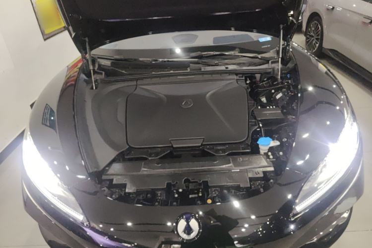 Denza Z9GT 2024 image de voiture #20