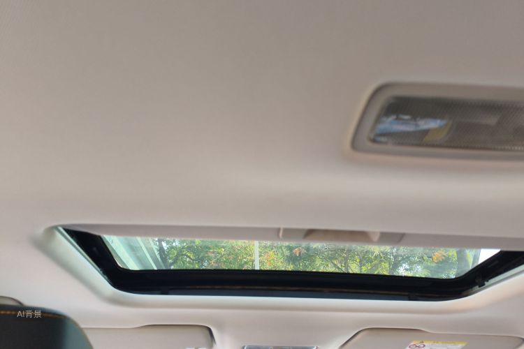 VS5 2020 car image #20