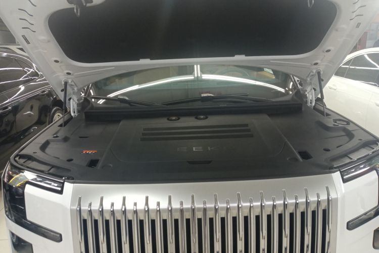 极氪 极氪9X 2025 汽车图片 #20