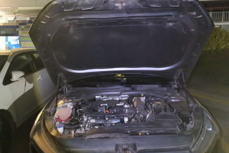 起亚 起亚K5 2022 汽车图片 #20