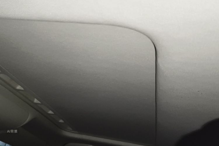 Polo 2016 car image #20