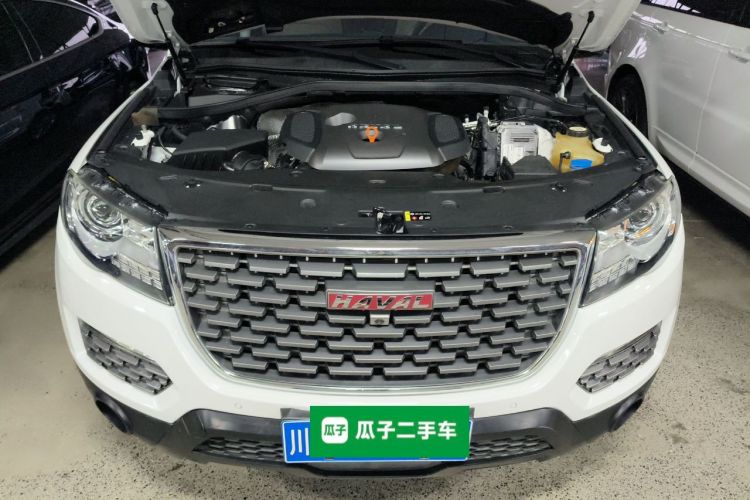 Haval H8 2019 imagen de coche #20