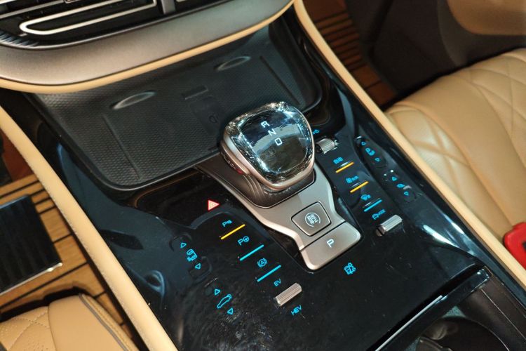 Denza D9 2023 imagen de coche #20