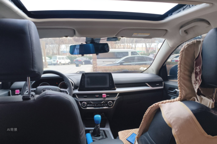 Soueast DX5 2021 car image #20