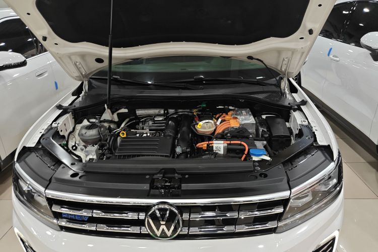 Volkswagen Tiguan L New Energy 2021 immagine di auto #20