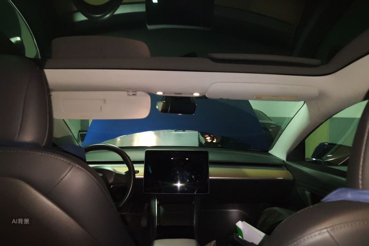 特斯拉 Model 3(进口) 2019 汽车图片 #20