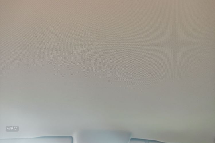 Polo 2016 immagine di auto #20