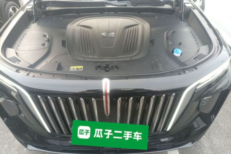 HongQi E-HS9 2023 image de voiture #20