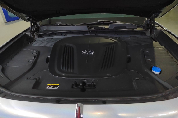 HongQi E-HS9 2023 immagine di auto #20