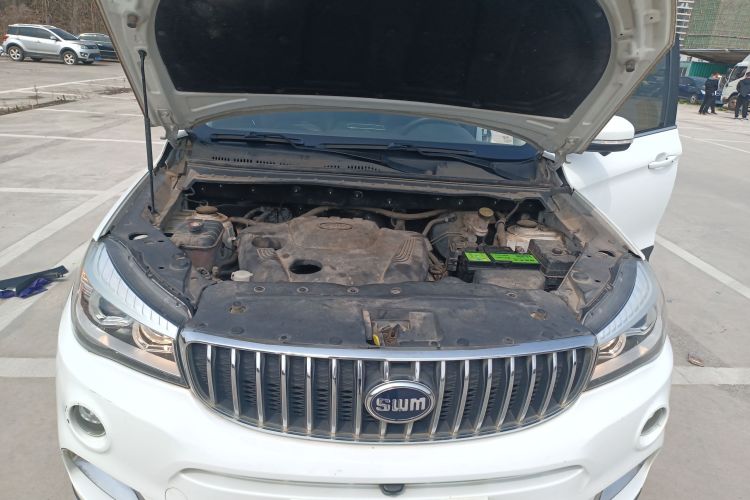 SWM X7 2020 car image #20