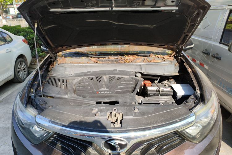 Soueast DX7 2017 imagem de carro #20