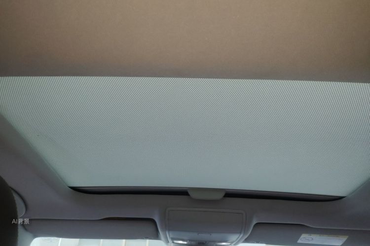 Volkswagen Lamando 2015 car image #20