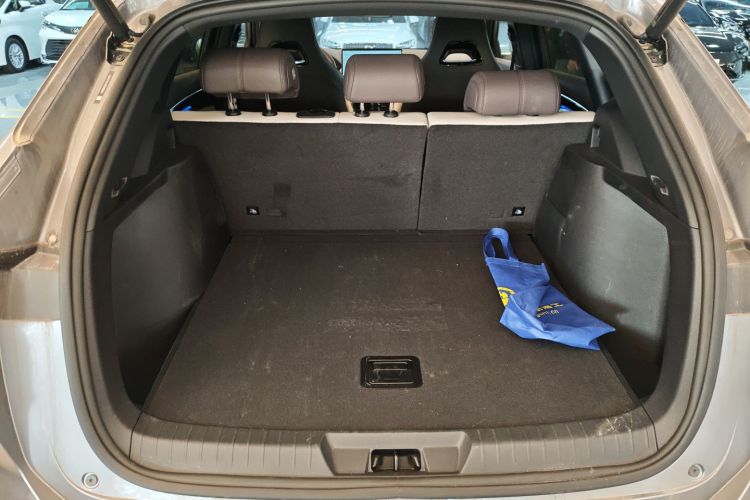 BYD Song Plus New Energy 2025 car image #20