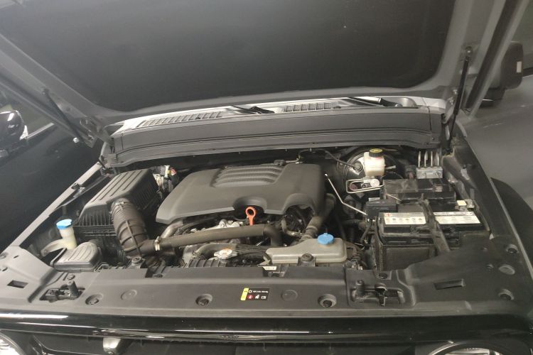 Tank 300 2022 immagine di auto #20