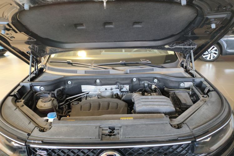 Volkswagen Tavendor 2024 immagine di auto #20