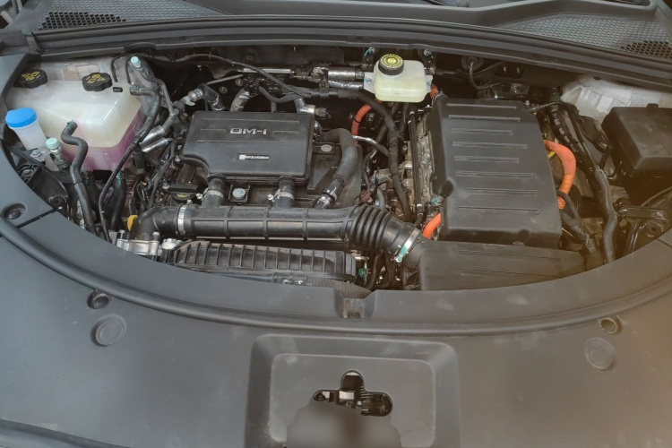 BYD Song Plus New Energy 2025 immagine di auto #20