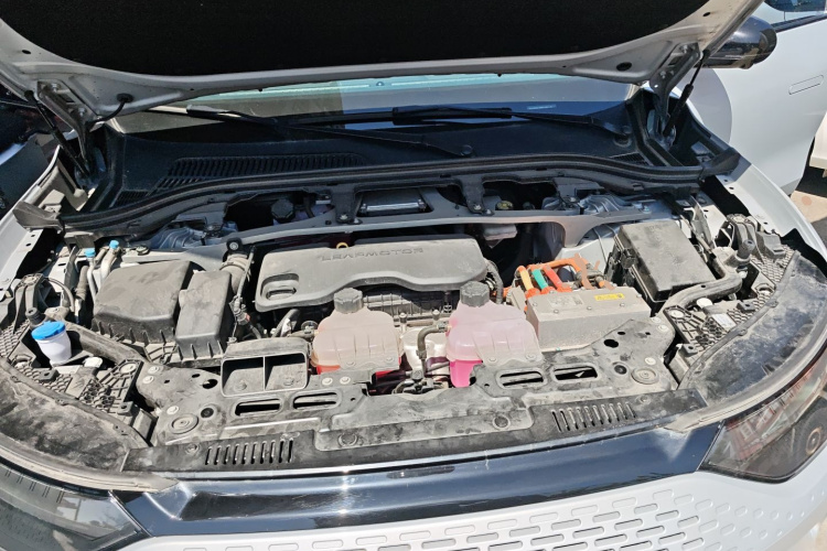 Leapmotor C11 2023 car image #20