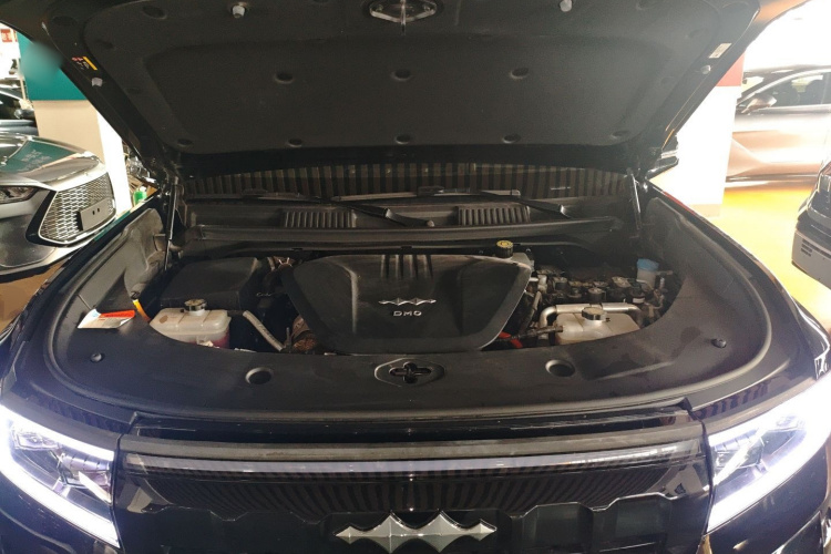 FangChengBao Leopard 8 2024 immagine di auto #20