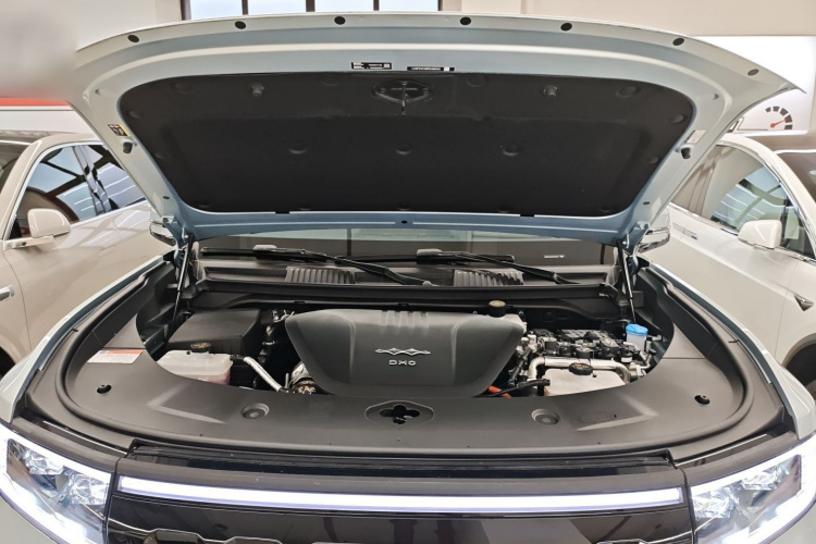 FangChengBao Leopard 8 2025 car image #20