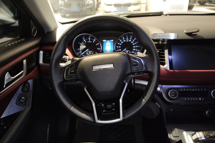 Haval H6 Coupe 2020 imagen de coche #20
