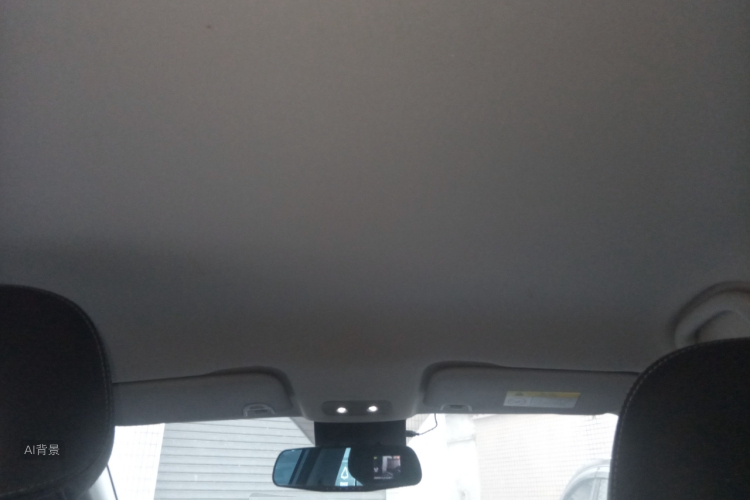 Neta V 2022 imagen de coche #20