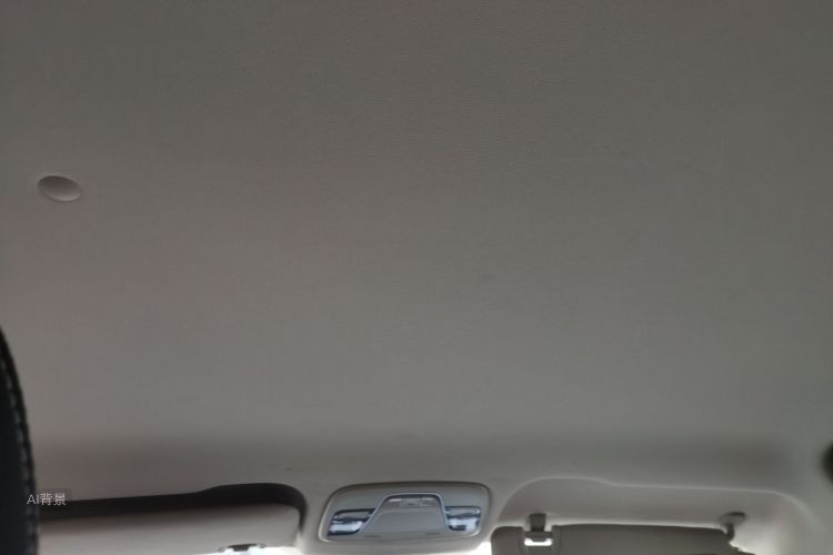 Vision X3 2019 car image #20