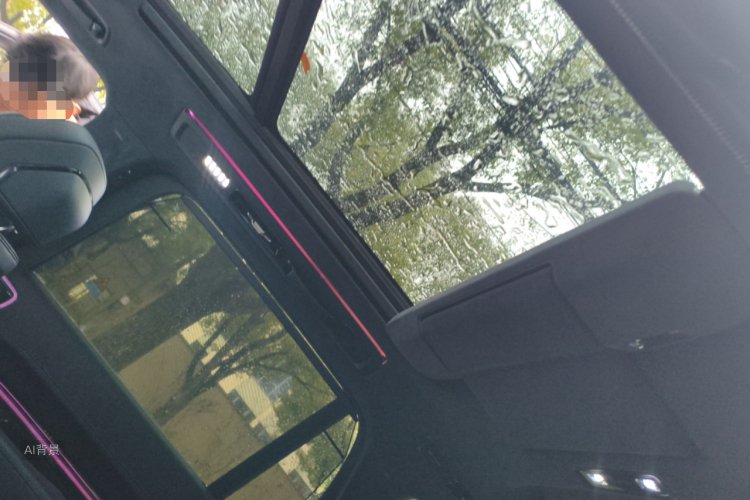 极氪 极氪9X 2025 汽车图片 #20