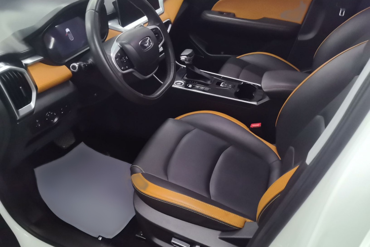 Showjet Pro 2021 car image #20