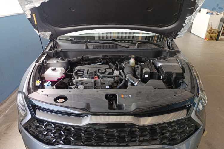 起亚 狮铂拓界 2026 汽车图片 #20