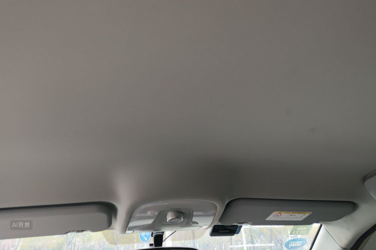 Tiggo 5x 2019 car image #20