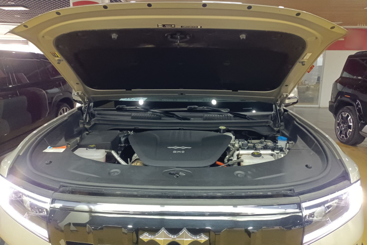 FangChengBao Leopard 8 2024 imagem de carro #20