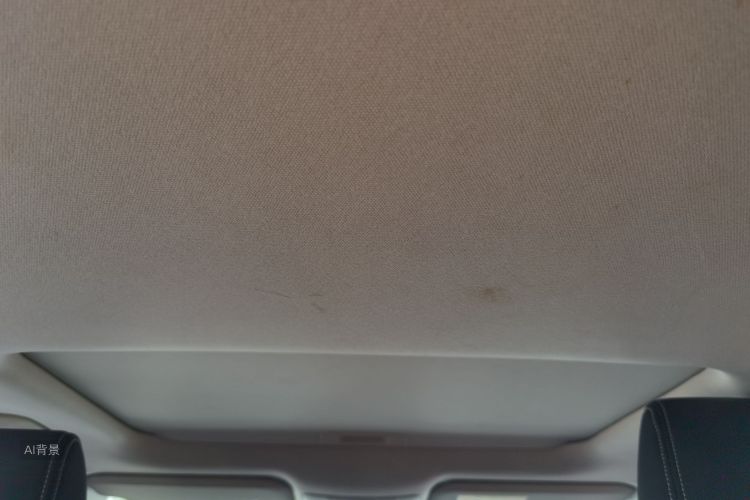 Toyota Corolla 2020 car image #20