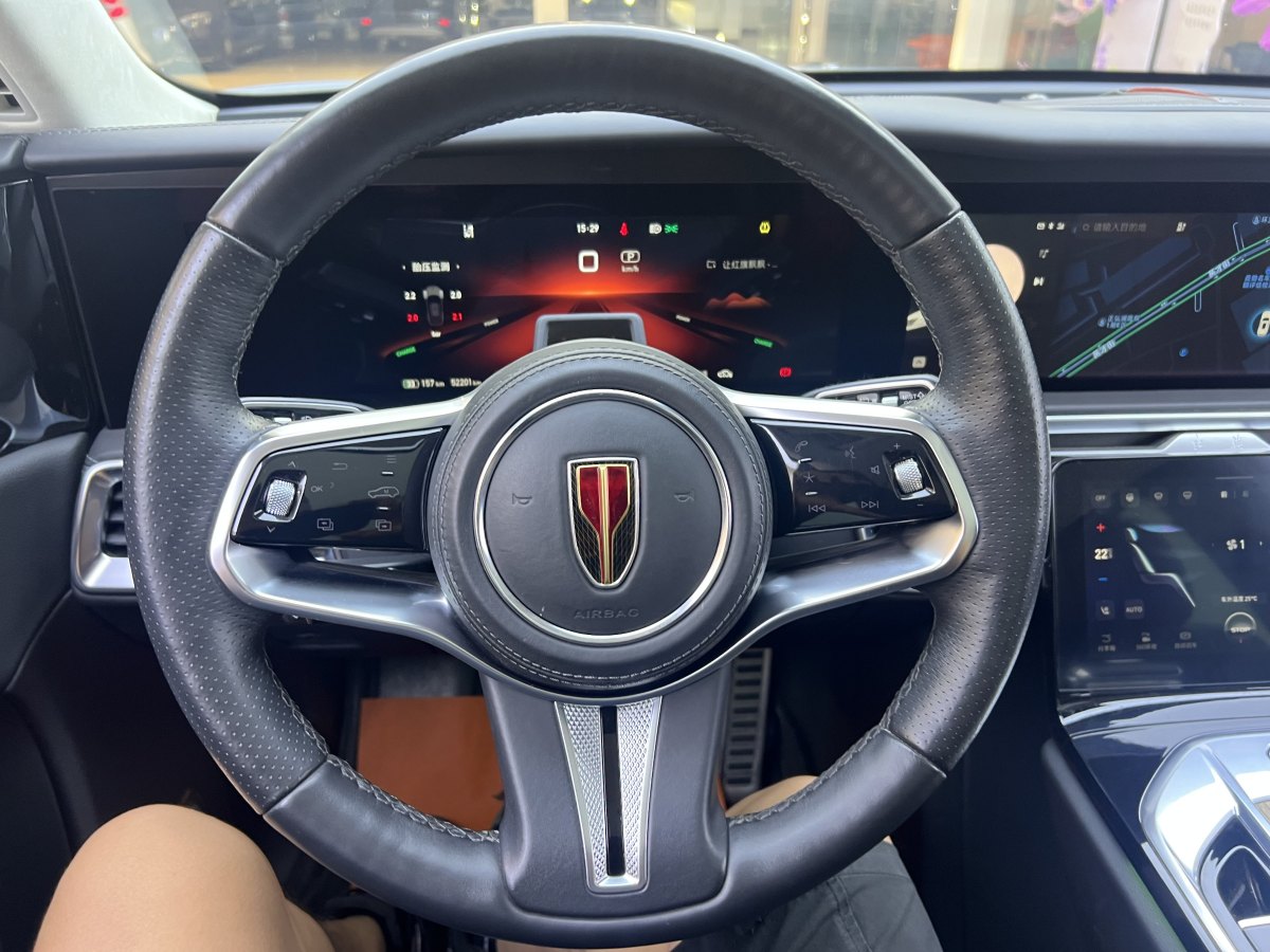 HongQi E-HS9 2022 car image #20