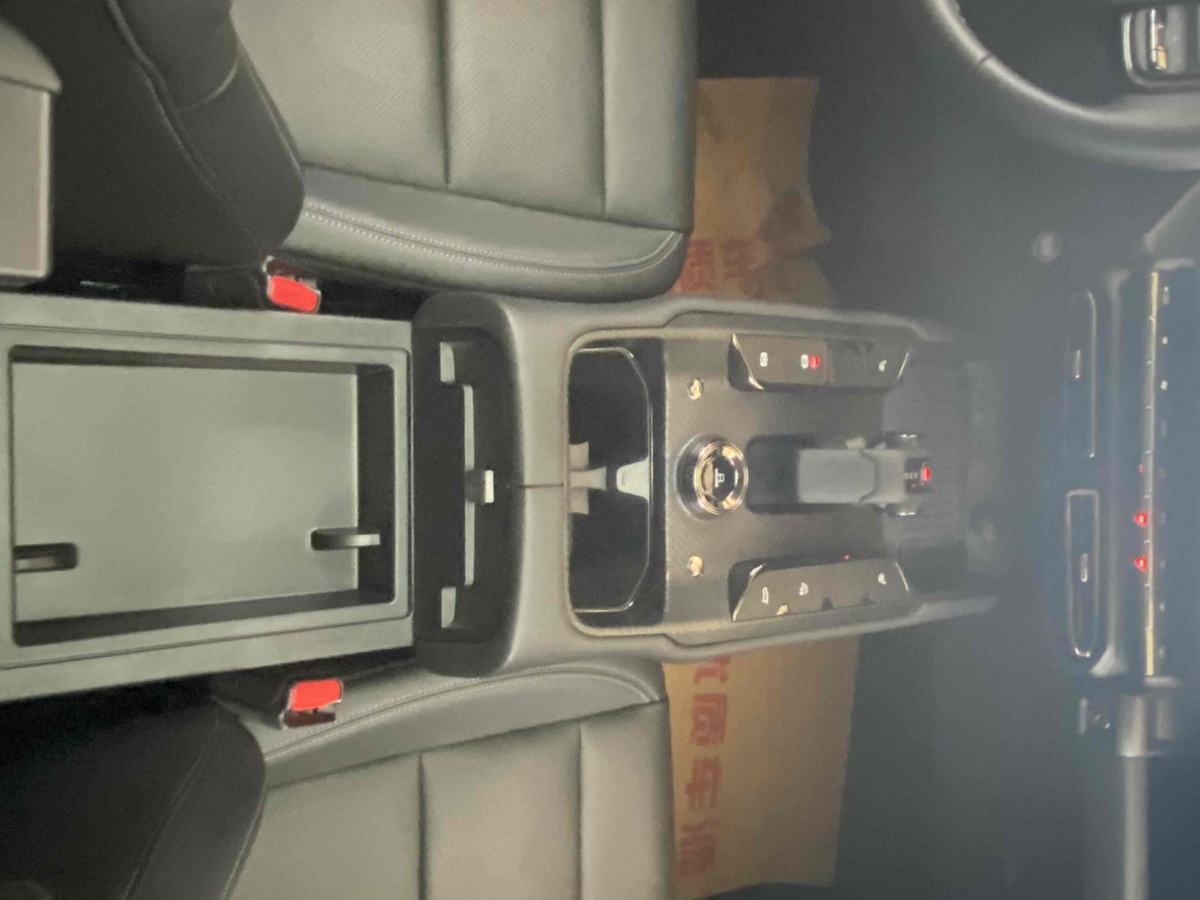 Haval X Dog 2 New Energy 2024 car image #20