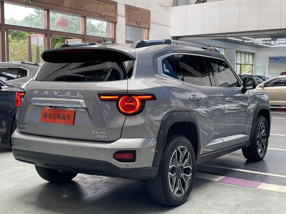 Haval X Dog 2 New Energy 2024 car image #20