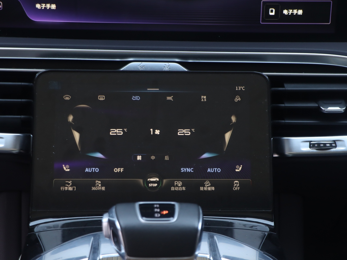 HongQi E-HS9 2023 car image #20