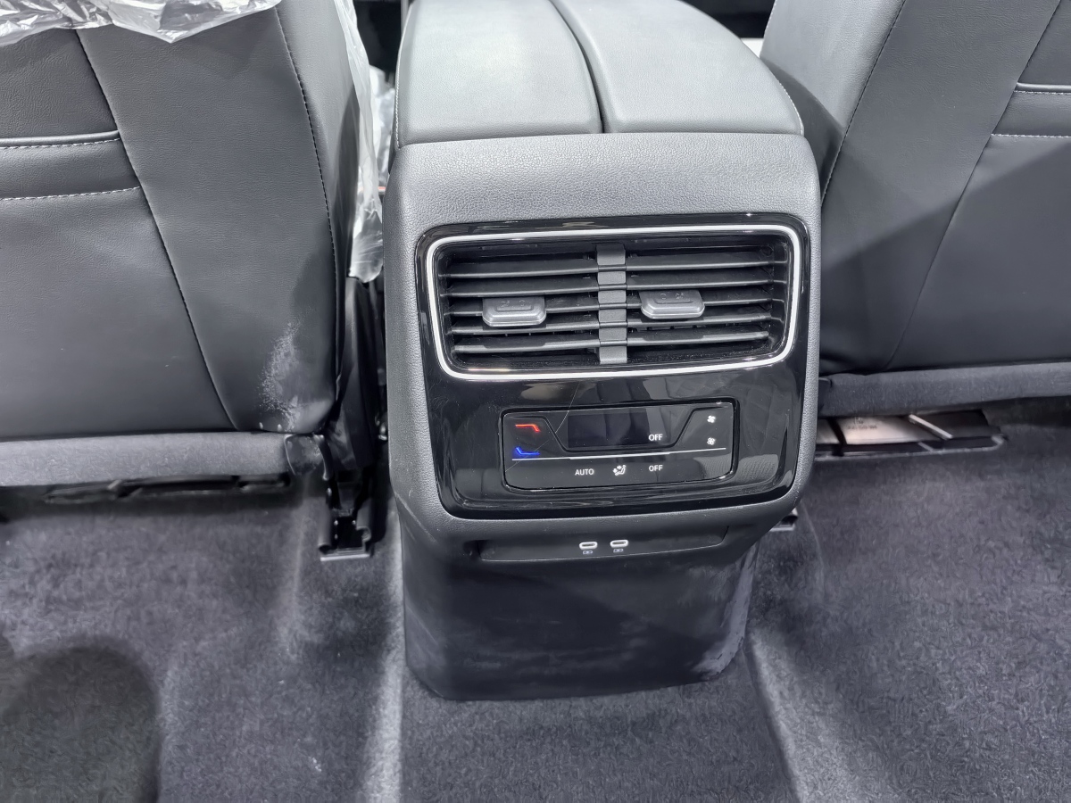 Volkswagen Tavendor 2023 car image #20