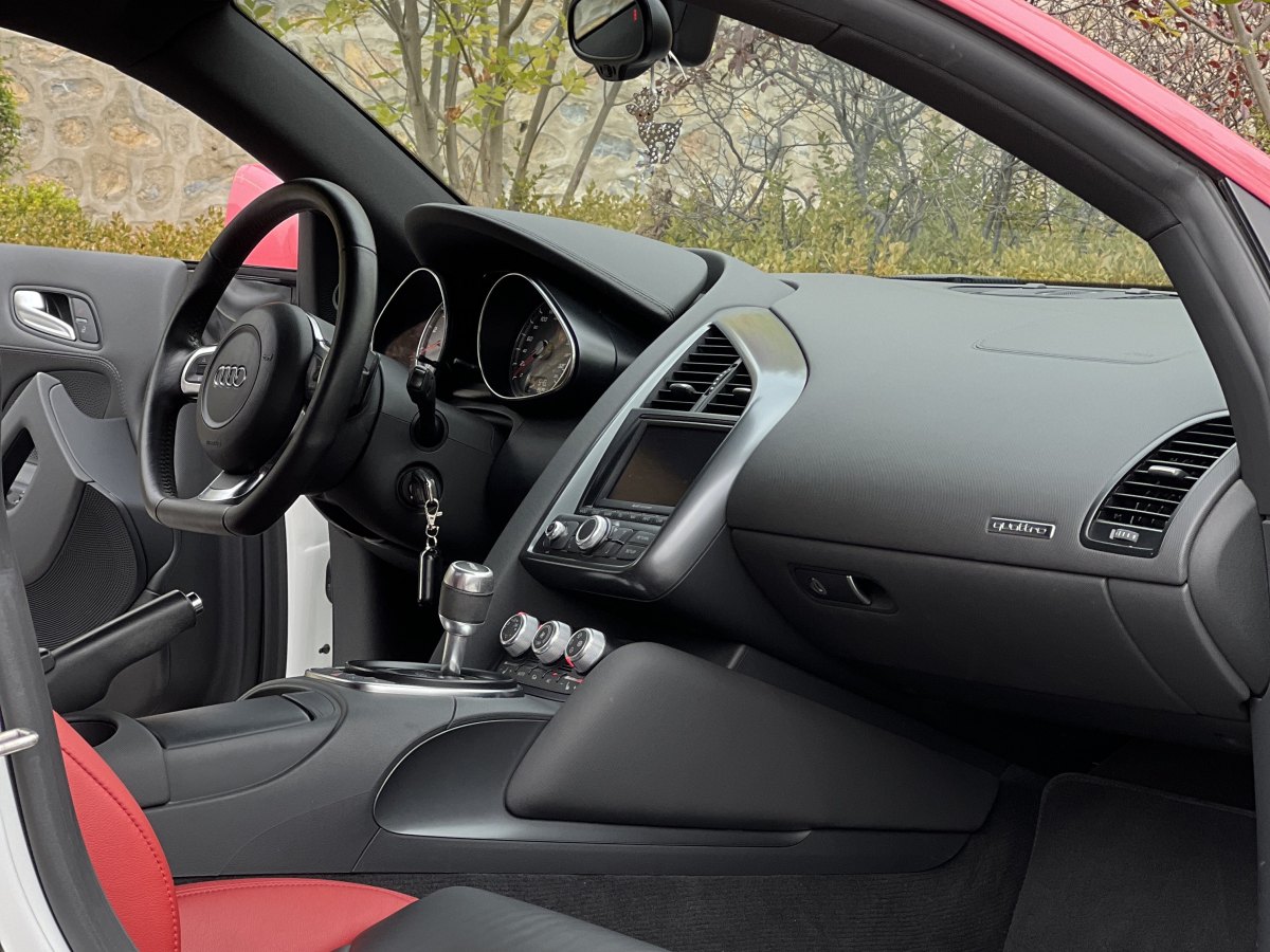 Audi R8 2010 #20 Audi R8 2010 car image #20