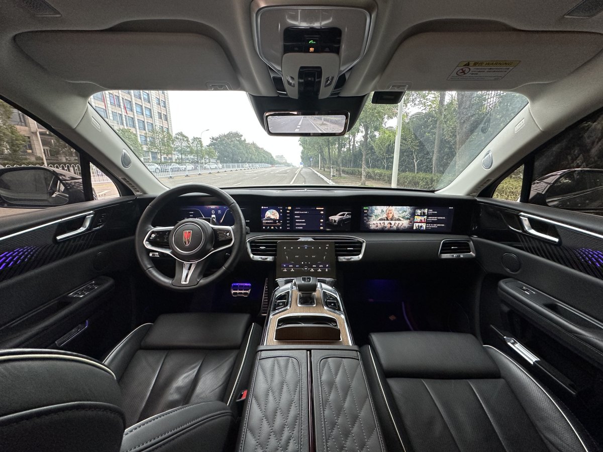 HongQi E-HS9 2022 #20 HongQi E-HS9 2022 car image #20