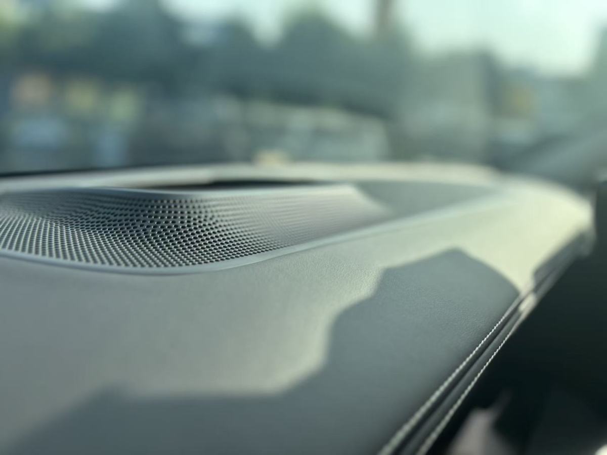 Tank 500 New Energy 2024 car image #20