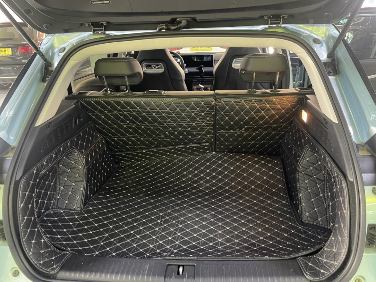 Neta U 2022 imagen de coche #20